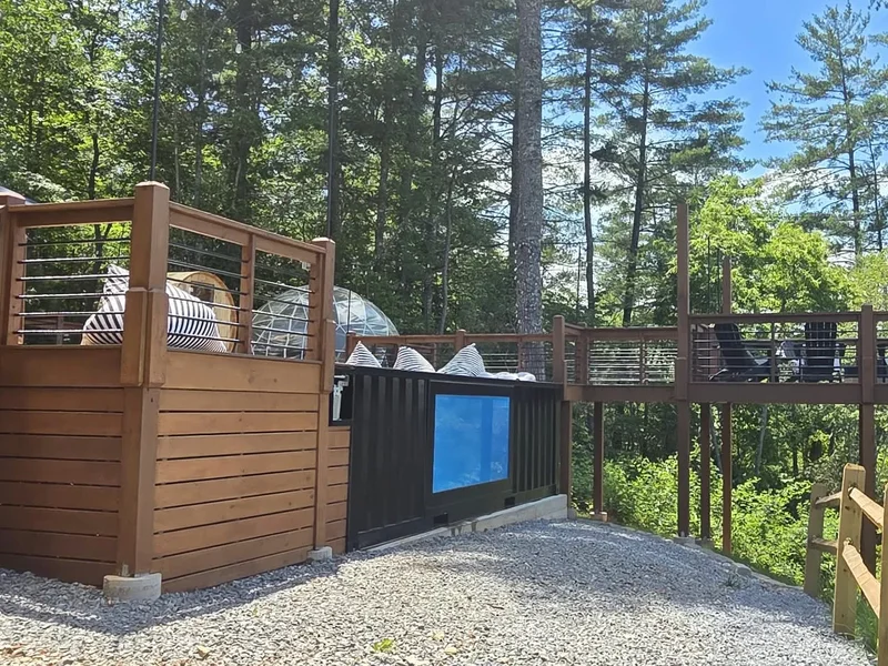 Fence Painting